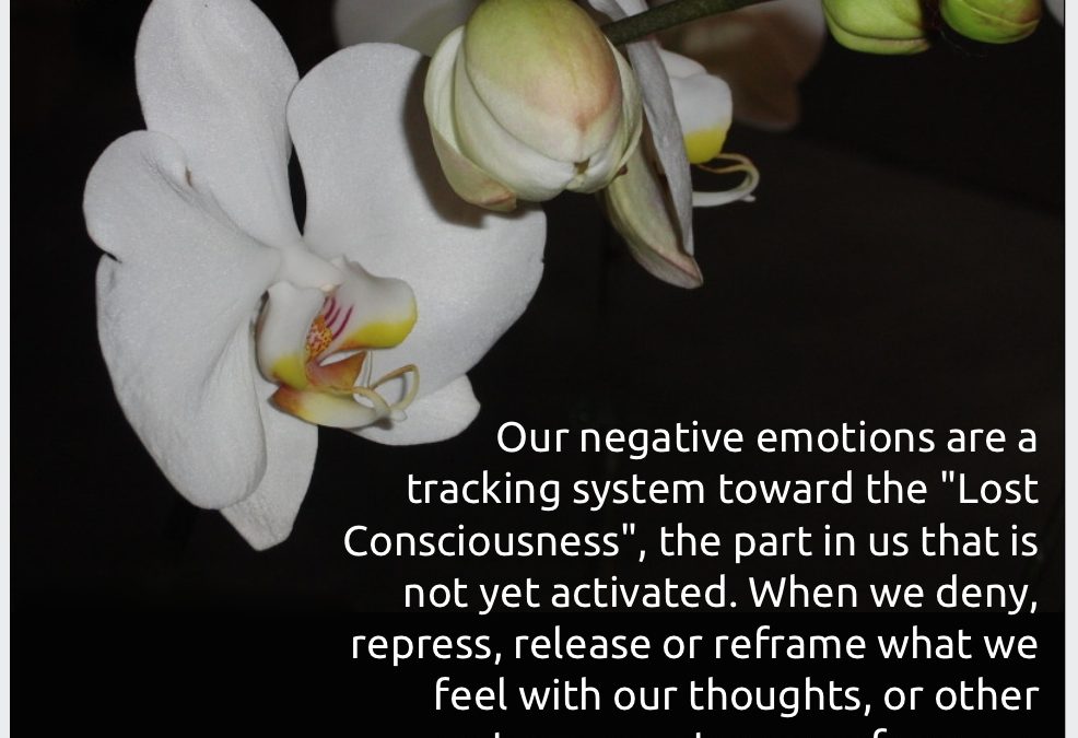 The Hidden Role of Negative Emotions